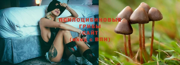 ECSTASY Бутурлиновка