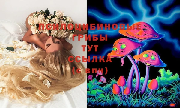 ECSTASY Бутурлиновка